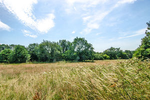 Photo 1- click for photo gallery